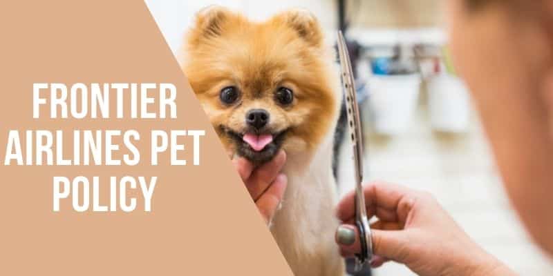 Frontier Airlines Pet Policy