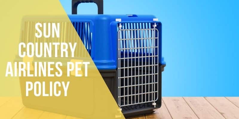 Sun Country Airlines Pet Policy