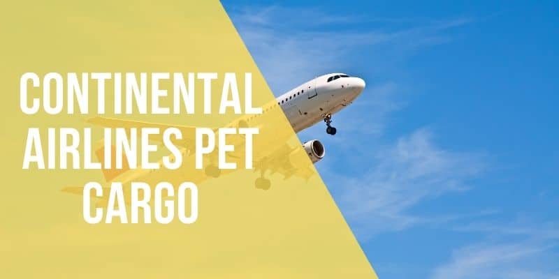 continental airlines pet cargo