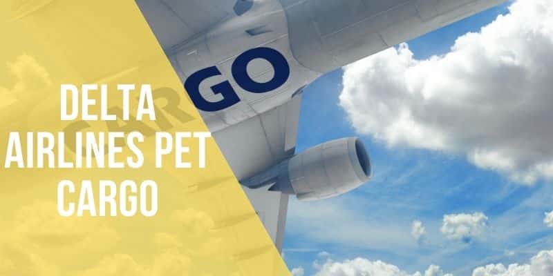 delta airlines pet cargo