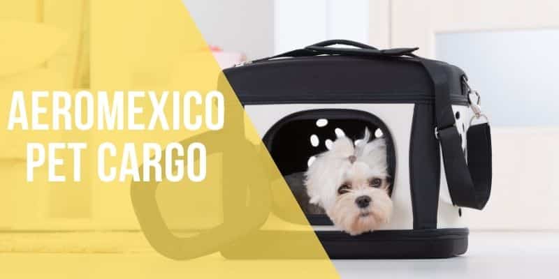 aeromexico pet cargo