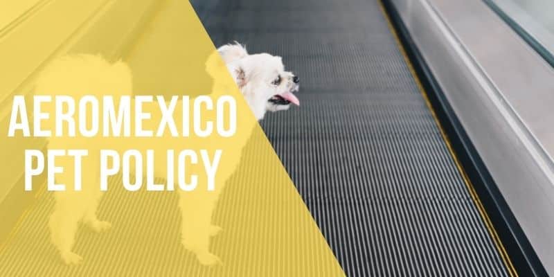 aeromexico pet policy