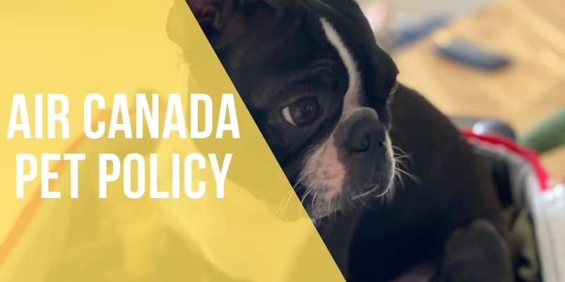 air canada pet policy