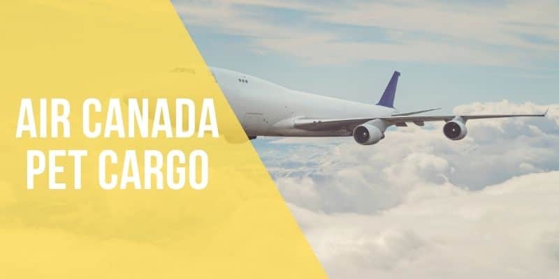 air canada pet cargo