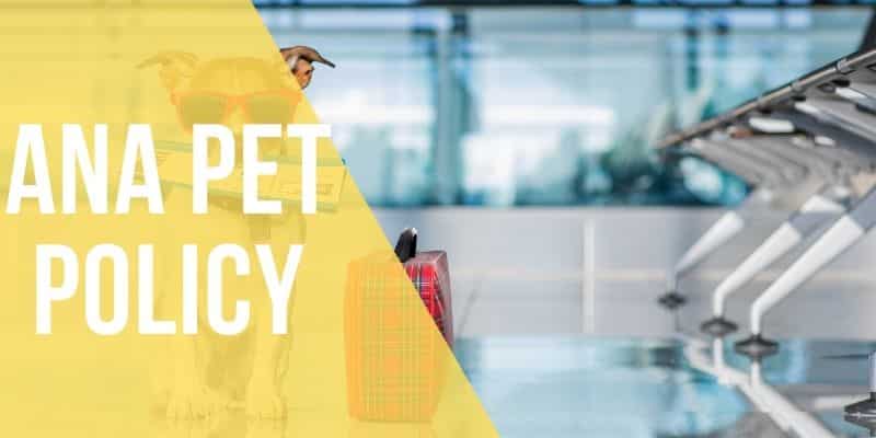 ana pet policy