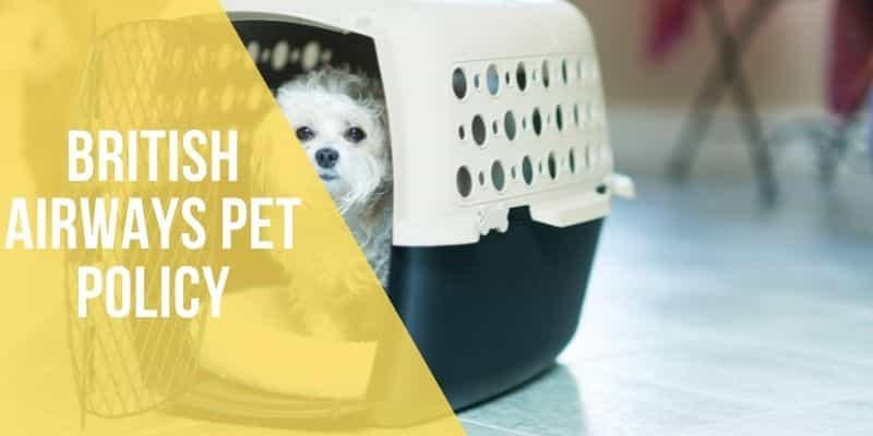 british airways pet policy