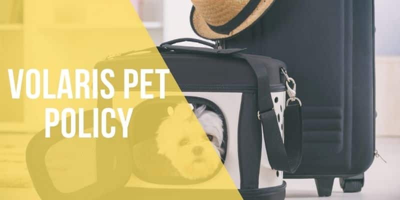 volaris pet policy