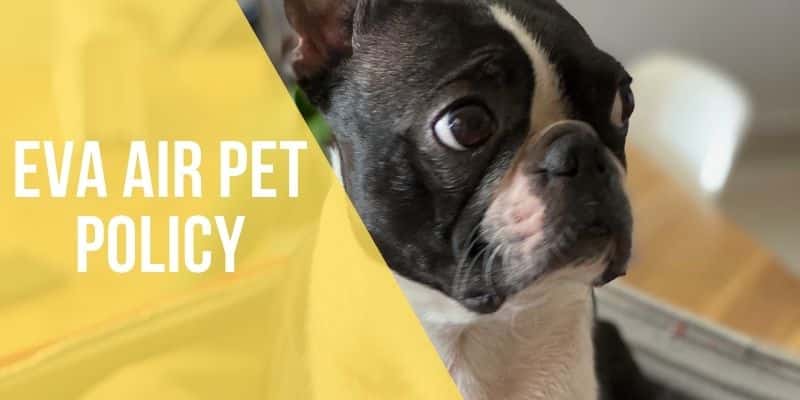 eva air pet policy