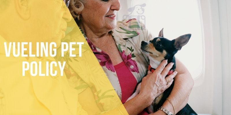 vueling pet policy