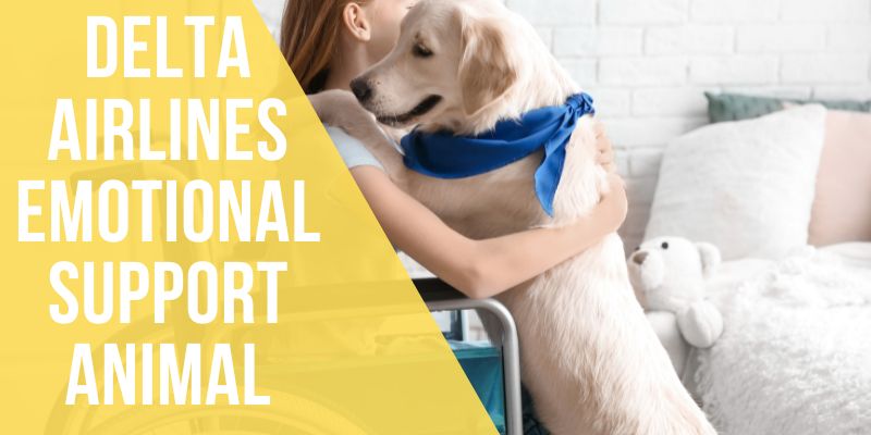 delta airlines emotional support animal