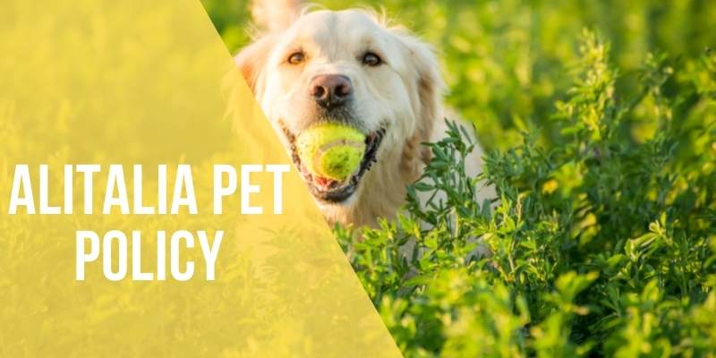 Alitalia pet policy