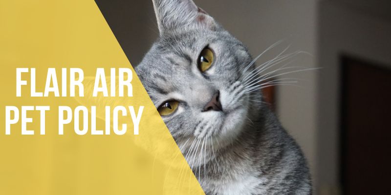 flair air pet policy