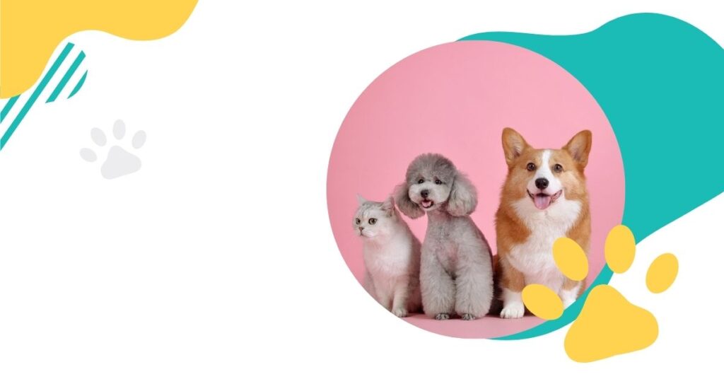 eastern airways pet policy