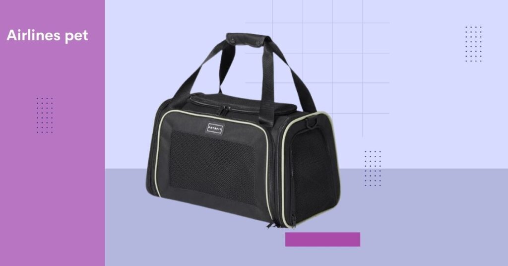 American Airlines Approved Pet Carrier
